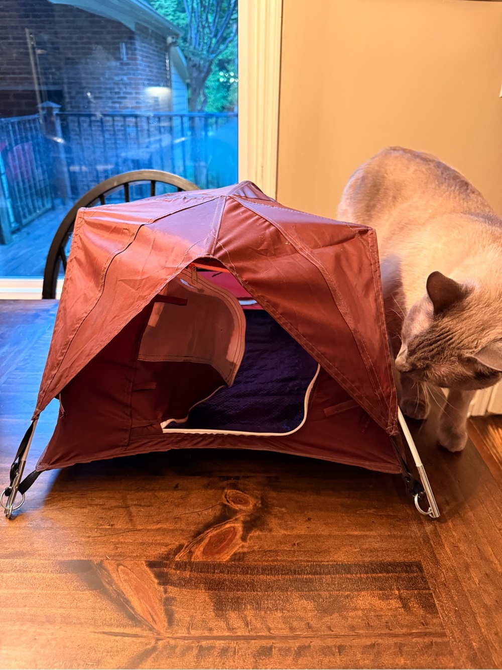 Tiny Tent- Small Tent in plum color